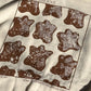 Turtle Crewneck